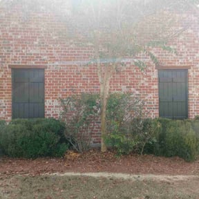 Bush Trimming by Alfaro’s Lawncare reviewed on August 21, 2025