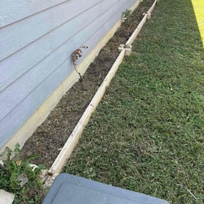 Flower Bed Weeding by Soto landscape reviewed on November 9, 2025