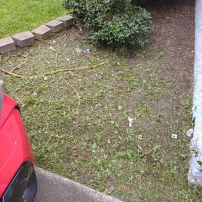 Flower Bed Weeding by Clean cut lawn care reviewed on August 16, 2025