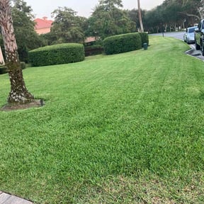 yard care by Brothers Keeper Lawn Care Services reviewed on December 24, 2025