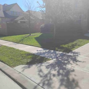 turf care by Hope Lawn Care reviewed on August 18, 2023
