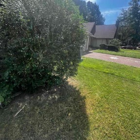 Bush Trimming by Big Chief Lawn Care reviewed on November 22, 2025