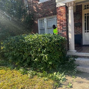 Bush Trimming by The lawn Guy reviewed on August 15, 2025