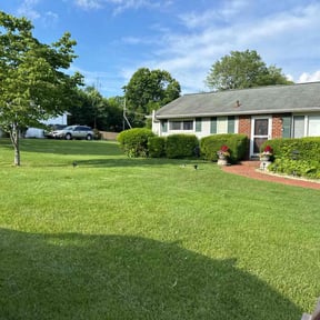grass cutting by Martin LLC reviewed on May 19, 2025
