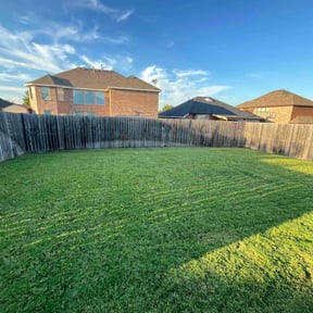 turf maintenance by Curtis cutting reviewed on August 18, 2025