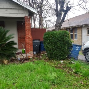 Bush Trimming by Sims Family Lawncare Service reviewed on August 17, 2025