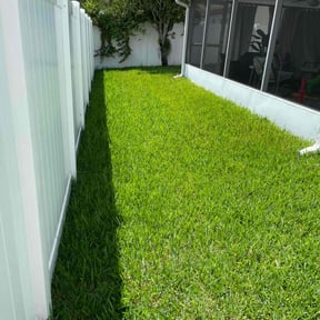 yard service by Lawn Patrol reviewed on August 17, 2025