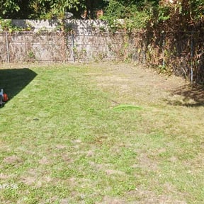 Bush Trimming by Mike’s lawn care reviewed on August 20, 2025