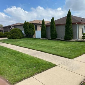 grass cutting by SSC LLC reviewed on August 15, 2025