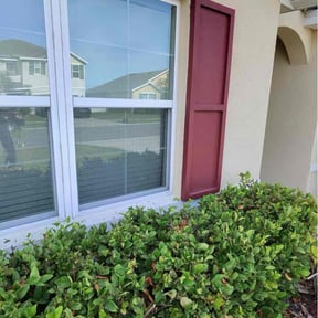 Bush Trimming by A &amp; M Exterior service reviewed on May 19, 2026