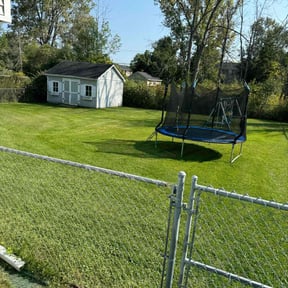 landscaping services by All in lawn services reviewed on August 19, 2025
