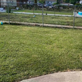 Bush Trimming by Boulder Landscaping reviewed on November 23, 2025