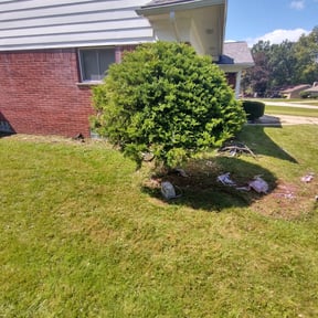 Bush Trimming by Lawn Enforcement Lawn Care LLC reviewed on August 20, 2025