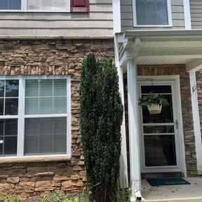 Bush Trimming by CWP outdoor services reviewed on June 17, 2026
