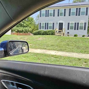Bush Trimming by Delgado Landscaping and Garden reviewed on August 16, 2025