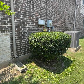 Bush Trimming by ARTHURS LAWN AND LANDSCAPE reviewed on August 1, 2022