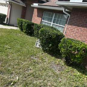 Bush Trimming by Send-A-Fella LawnCare reviewed on August 15, 2025