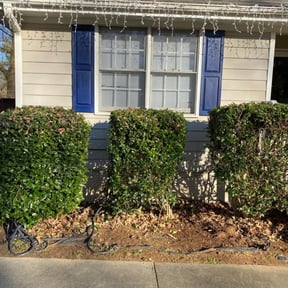 Bush Trimming by Grass gator Jesse lawn care reviewed on August 20, 2025