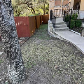 Leaf Removal by Bay Land & Trees Llc. reviewed on August 19, 2025