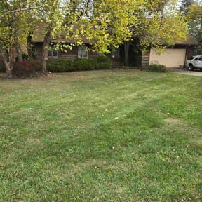 Leaf Removal by Big C Pressure Washing reviewed on November 9, 2025