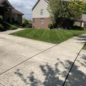 residential landscaping by Judson Auguste reviewed on August 18, 2025