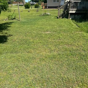 lawn care by All Trim Lawn Services, Inc. reviewed on February 23, 2024