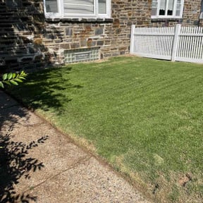 yard work by Lawns by leo reviewed on August 17, 2025