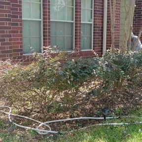 Bush Trimming by JA Performance Outdoor Services reviewed on August 20, 2025