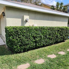Bush Trimming by H & S Lawn Service. reviewed on August 16, 2025