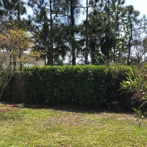 Bush Trimming by Poetry In Motion, LLC reviewed on August 17, 2025