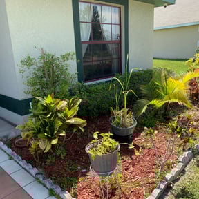 Bush Trimming by Lawson Services reviewed on May 14, 2024