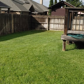 Long Grass Cleanup by Vines Lawn Care reviewed on August 15, 2025
