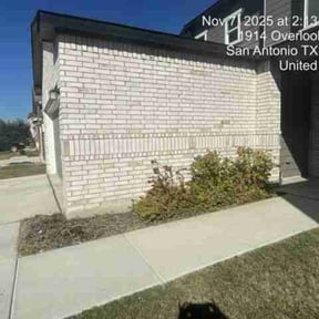 Flower Bed Weeding by Fortanel lanscaping reviewed on September 2, 2023