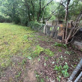 Bush Trimming by Wayne Howard reviewed on April 15, 2026