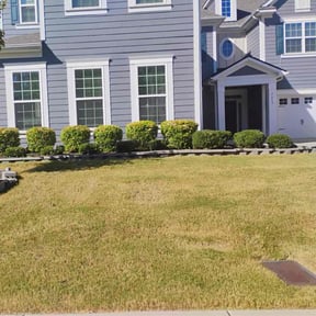 Bush Trimming by SLC Groundskeepers reviewed on November 19, 2025