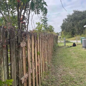 Bush Trimming by Lindsay’s lawncare reviewed on August 18, 2025