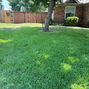yard care by Rjs Lawn Care reviewed on August 20, 2025