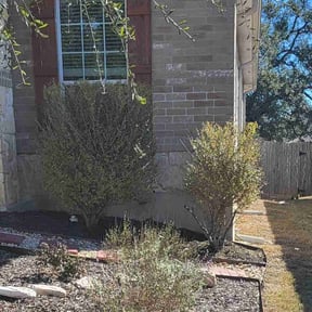 Bush Trimming by Willie Lawn Care and More LLC reviewed on August 16, 2025