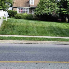 yard care by Peninsula services reviewed on November 25, 2025