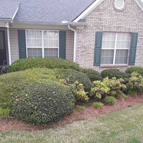 Bush Trimming by DSLAWNCARE SERVICE reviewed on August 20, 2025