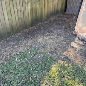 Leaf Removal by Dan's Lawn &amp; Landscaping reviewed on August 6, 2026