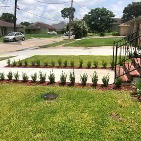 Flower Bed Weeding by D. Nelsons Lawn Care, LLC reviewed on August 18, 2025
