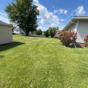 yard service by Father and son landscaping LLC reviewed on August 20, 2025