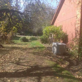 Bush Trimming by Mike's Mowing and Landscaping reviewed on August 19, 2025