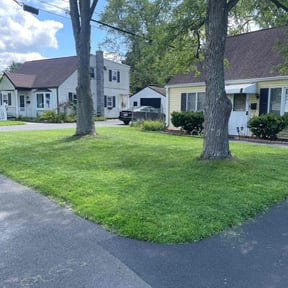gardening service by Dream Holloway Lawn Care reviewed on August 16, 2025