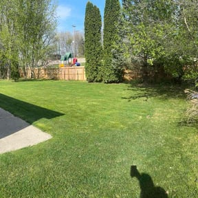 yard care by Lawn Cares reviewed on November 23, 2025