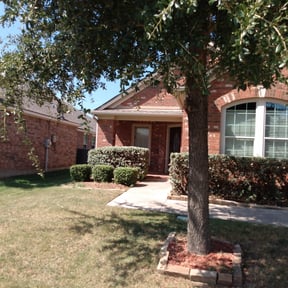 Bush Trimming by JLM Landscaping reviewed on August 15, 2025