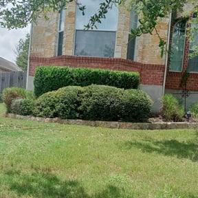 Bush Trimming by Hickory Creek Enterprises LLC reviewed on August 17, 2025