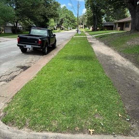 landscape maintenance by LOCAL Landscaping & Lawn Maintenance reviewed on August 17, 2025