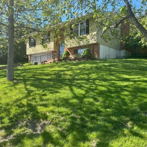 landscaping by Terrance North reviewed on August 19, 2025